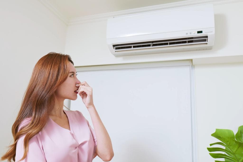 Read more about the article AC Smells Musty? All You Need to Know
