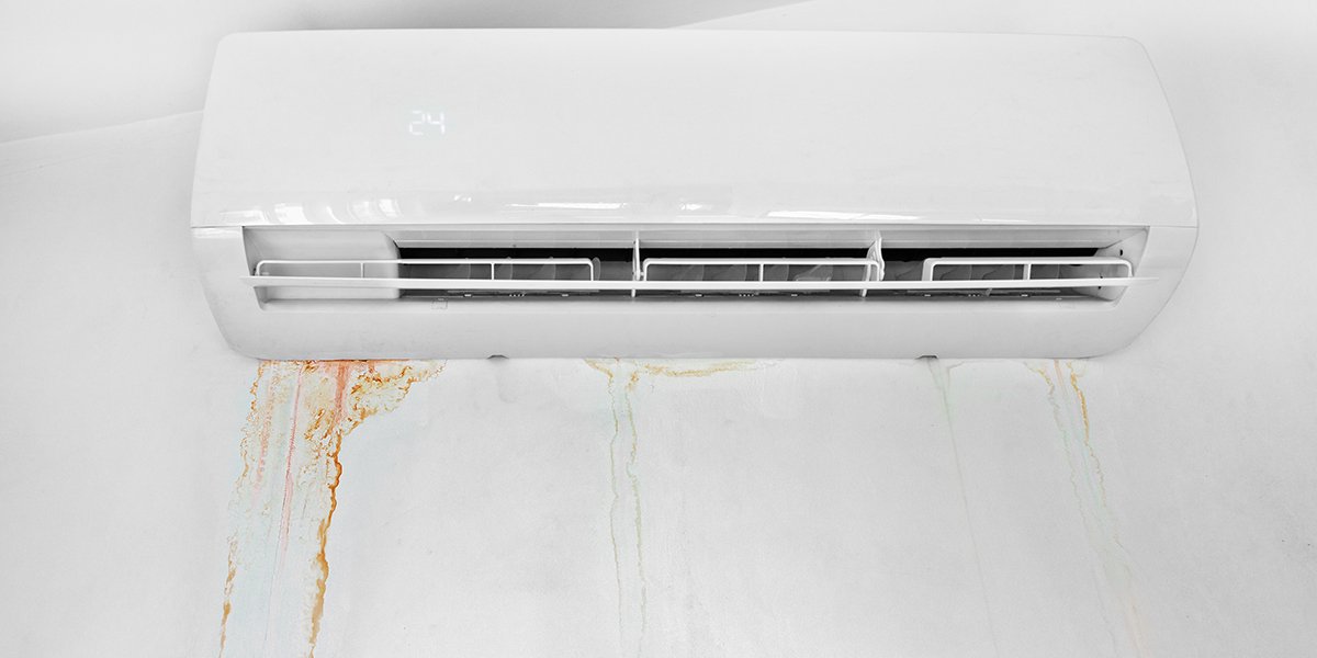 Read more about the article Mold in AC Unit Explained  – How to Remove & Prevent It?