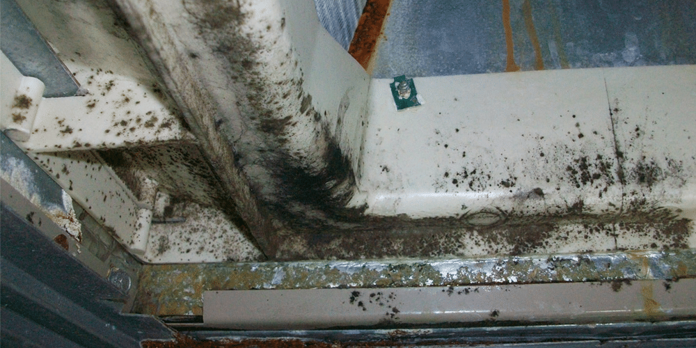 mold on metal