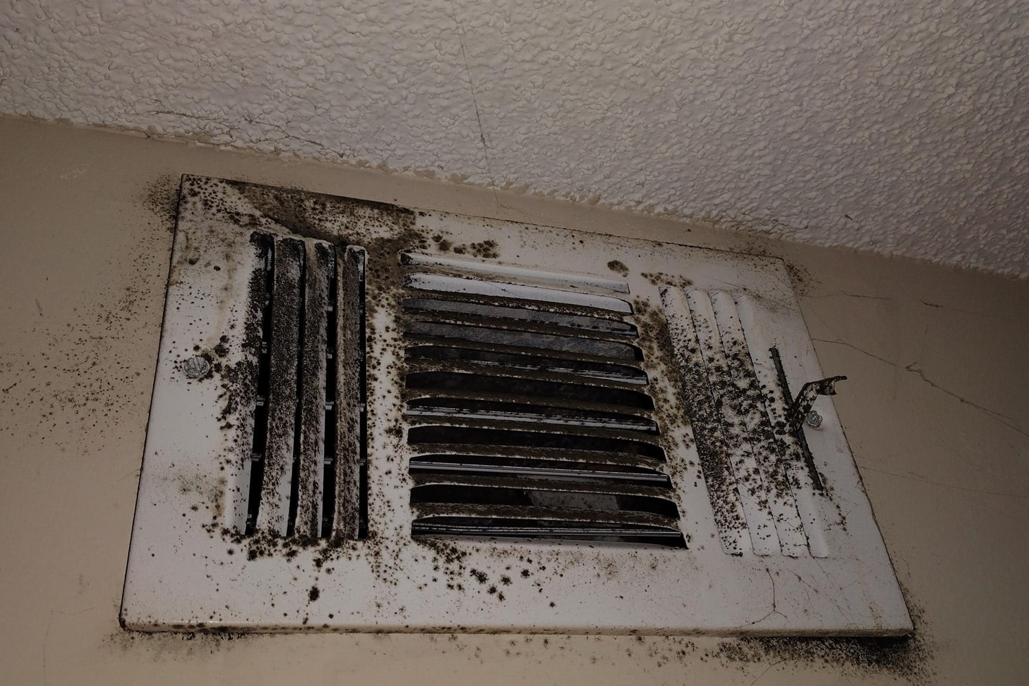 view of black mold in air vents